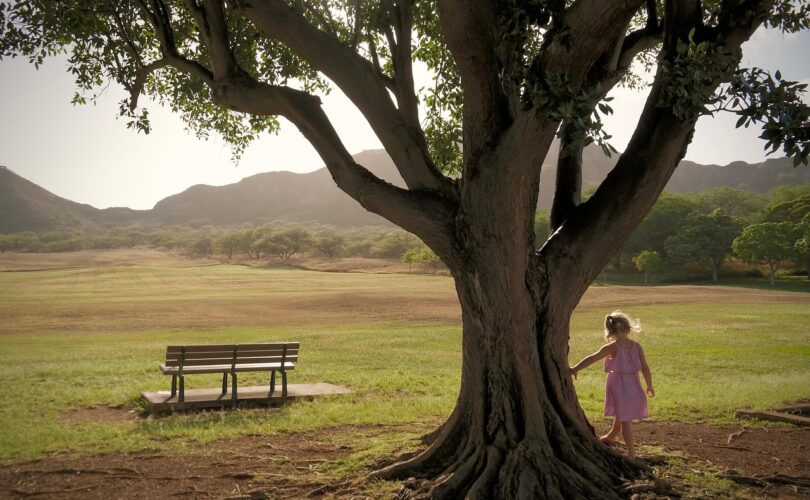 Kozijnen en moderne architectuur