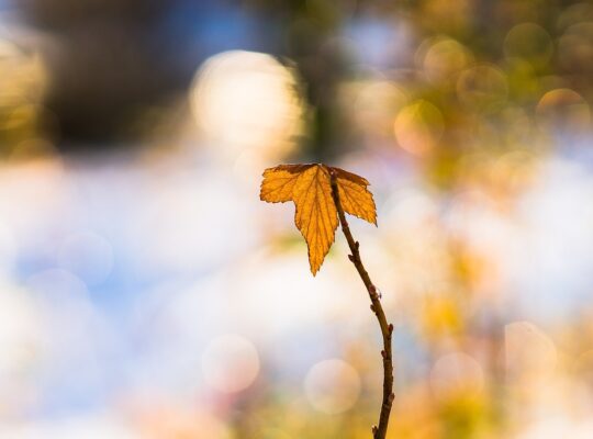 Kozijnen onderhouden per seizoen