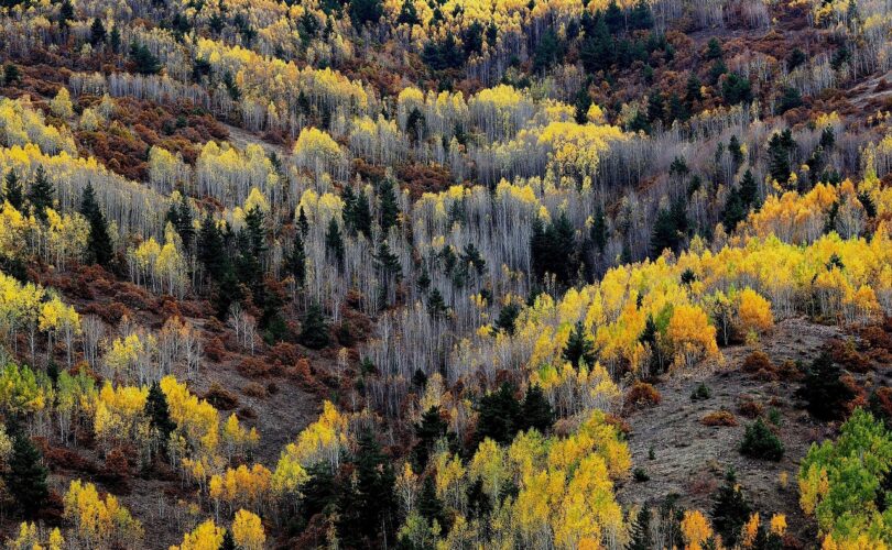 Welke kozijnen zijn het meest inbraakwerend