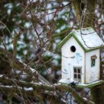 Glas en veiligheid bij kindvriendelijk wonen