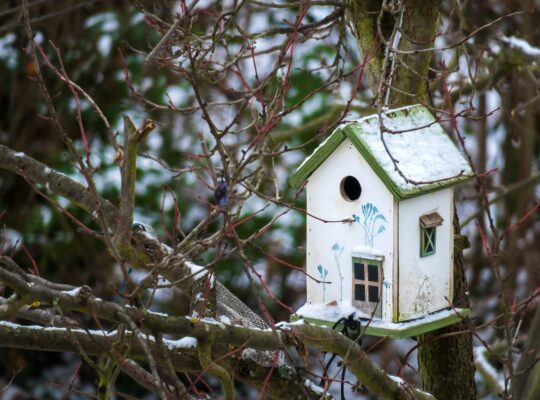 Glas en veiligheid bij kindvriendelijk wonen