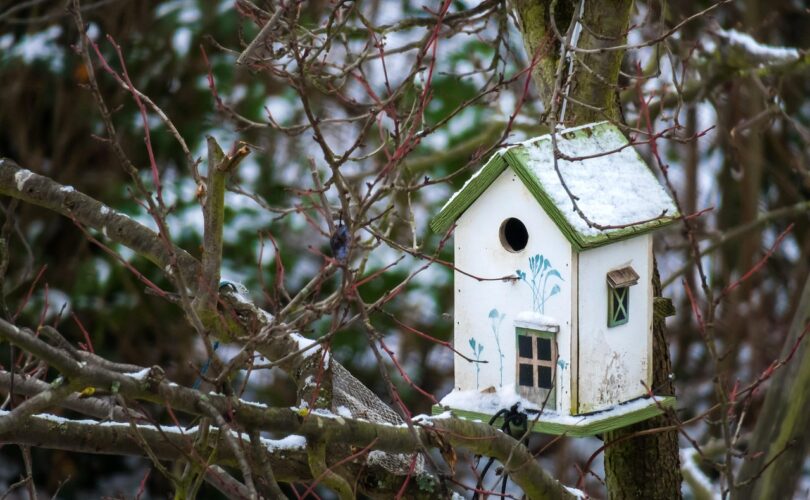 Glas en veiligheid bij kindvriendelijk wonen
