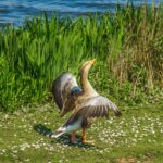 Kozijnen reinigen bij renovatie