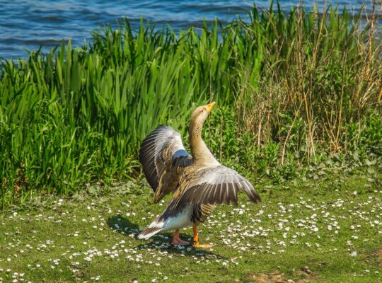 Kozijnen reinigen bij renovatie