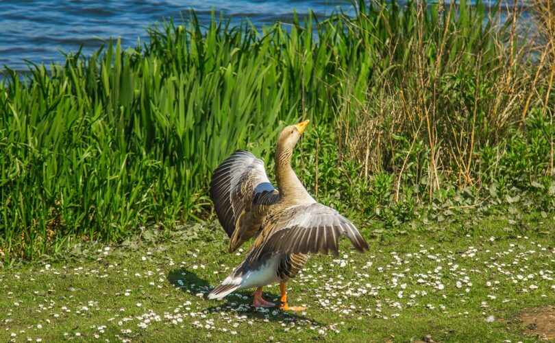 Kozijnen reinigen bij renovatie
