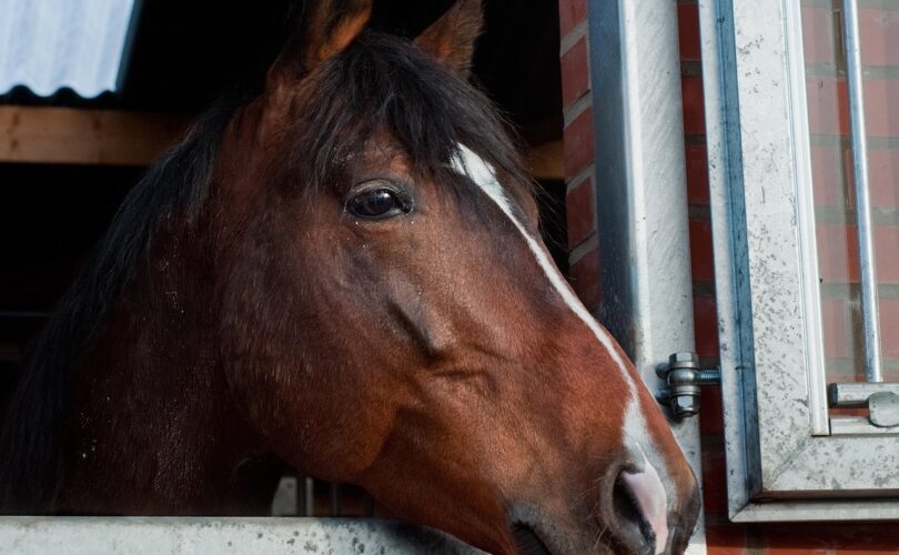 Kozijnen inspecteren voor aankoop woning