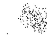 Kozijnen beschermen tegen krassen