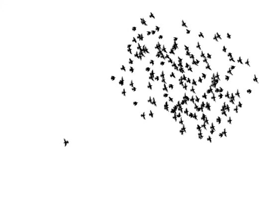 Kozijnen beschermen tegen krassen