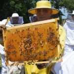 Wat is het verschil tussen opdek- en stompe kozijnen