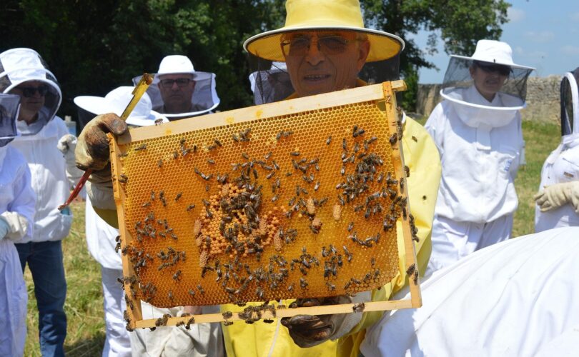 Wat is het verschil tussen opdek- en stompe kozijnen