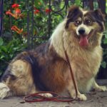 Kozijnen inspecteren met warmtecamera